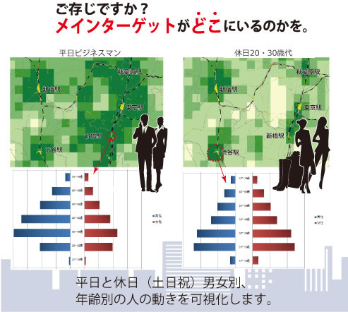 平日と休日（土日祝）男女別、年齢別の人の動きを可視化します。：イメージ