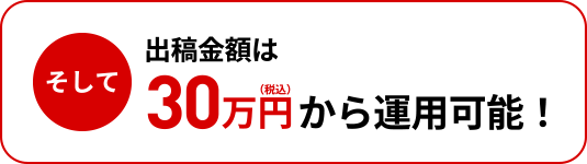 そして出稿金額は30万円（税込）から運用可能